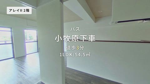 動画