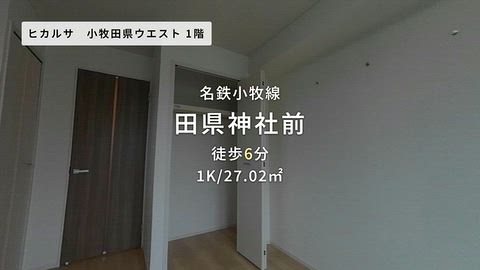 動画
