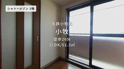 動画