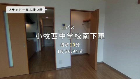 動画