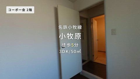 紹介ムービー
