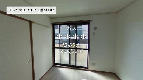 紹介ムービー