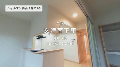 紹介ムービー