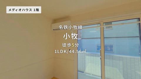 動画