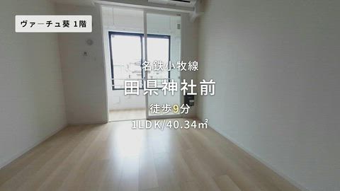 紹介ムービー