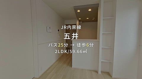 動画