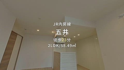 動画