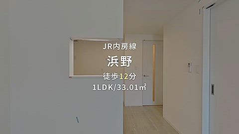 動画