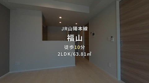 動画