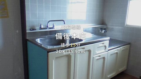 動画