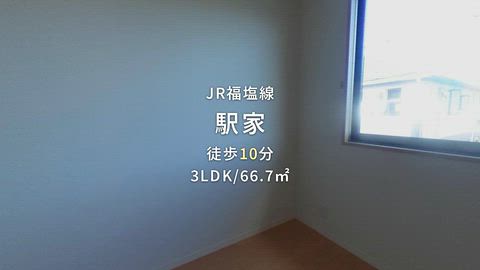 動画