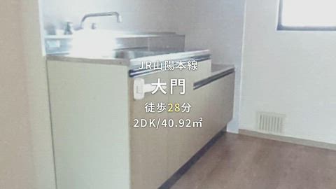 動画