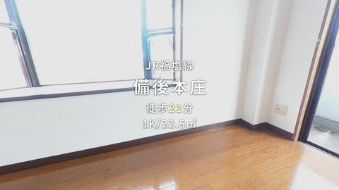 動画