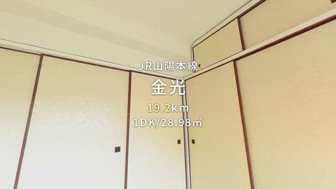 動画
