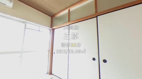動画