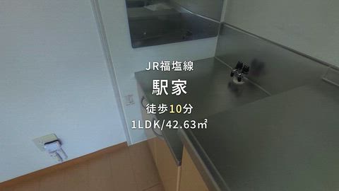 動画