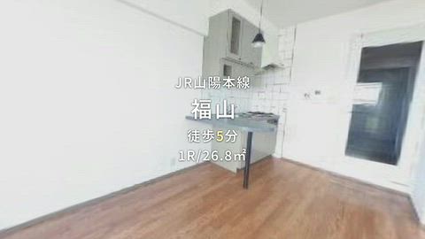 動画