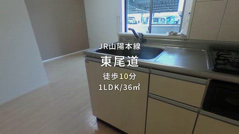 動画