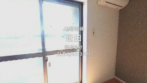 動画