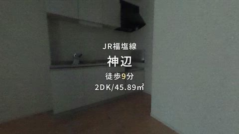 動画