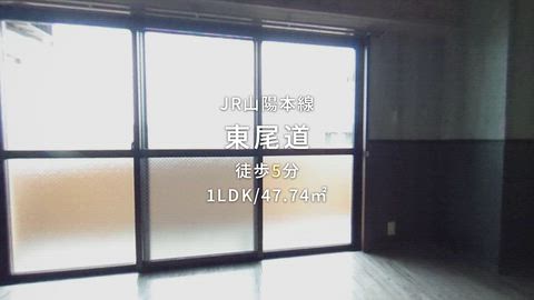 動画