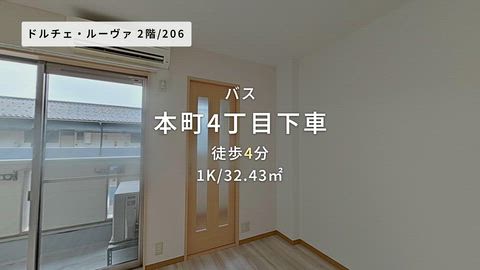 動画