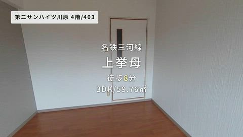 動画