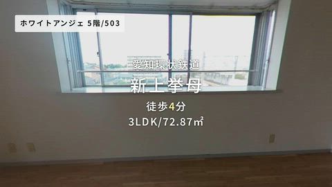 紹介ムービー