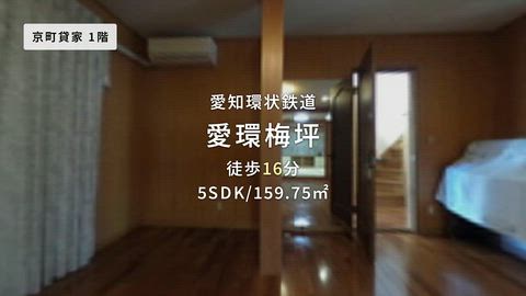 動画