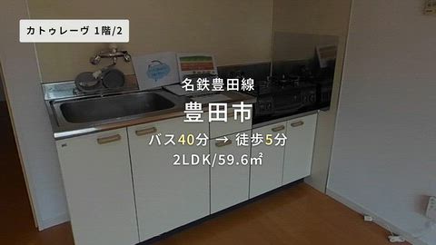 動画