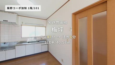 紹介ムービー