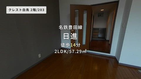 動画