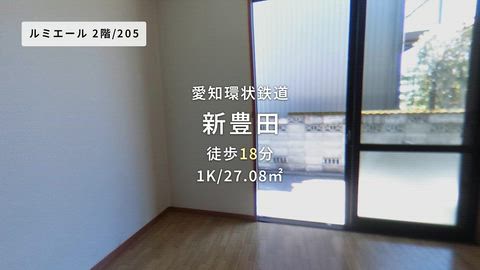 動画