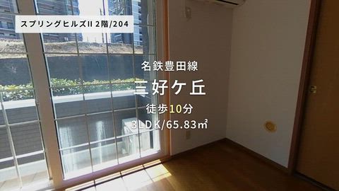 動画