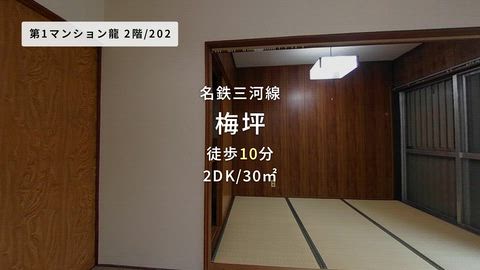 紹介ムービー