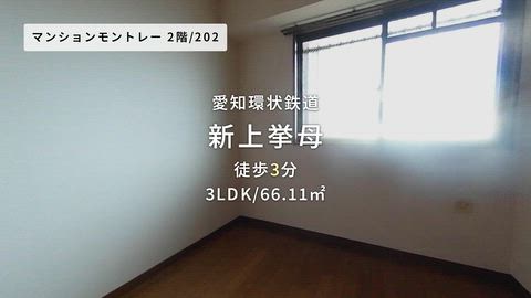 動画