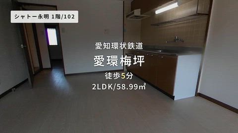 動画