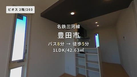 動画