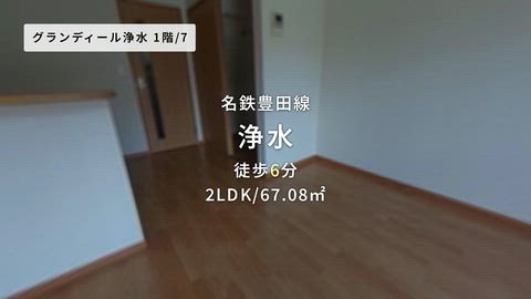 動画