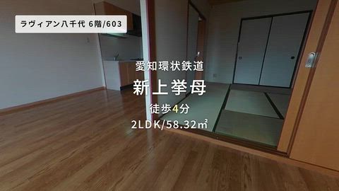 動画