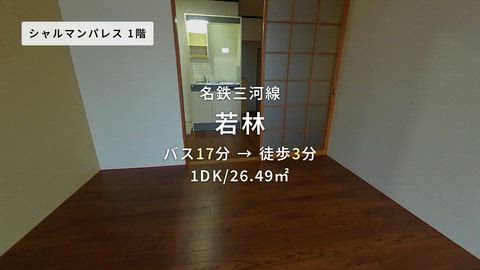 動画