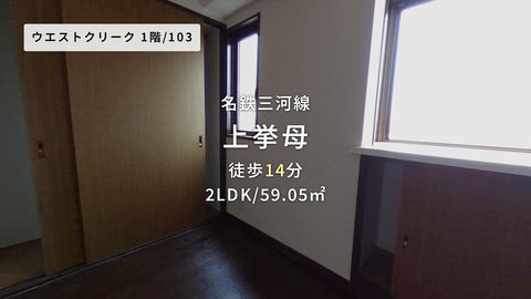 動画