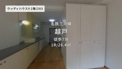 動画