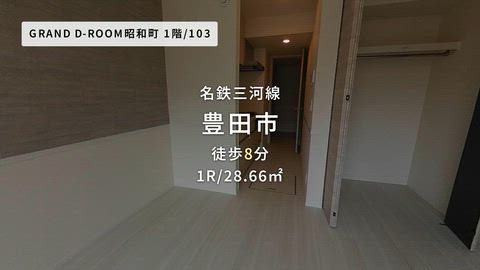 動画