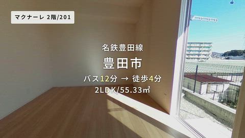 動画