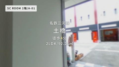 動画