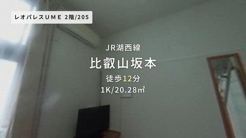 動画