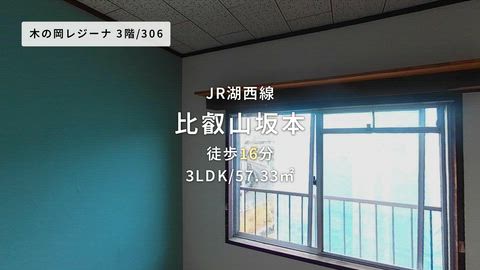 紹介ムービー