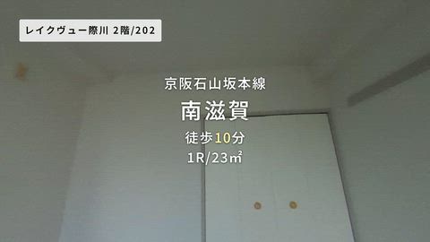 動画