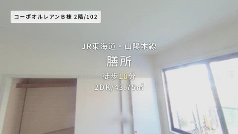 紹介ムービー